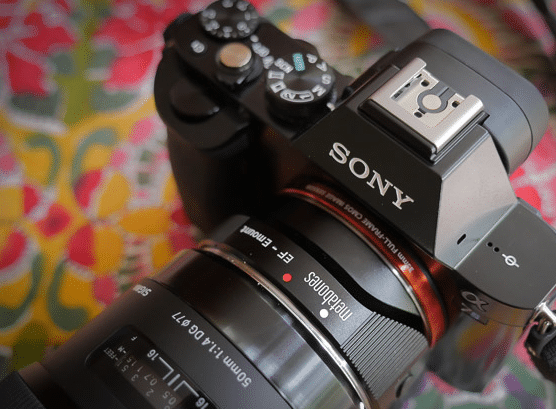 Sony a7s con adattatore Metabones